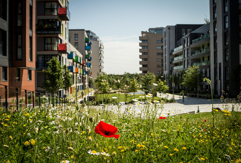 Beautiful plants in front of buildings